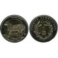 1 лира 2012 год. Турция. Леопард